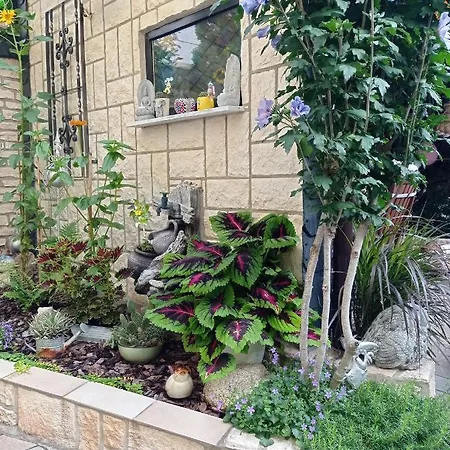 Usis_ferienwohnung Im Harz Quedlinburg